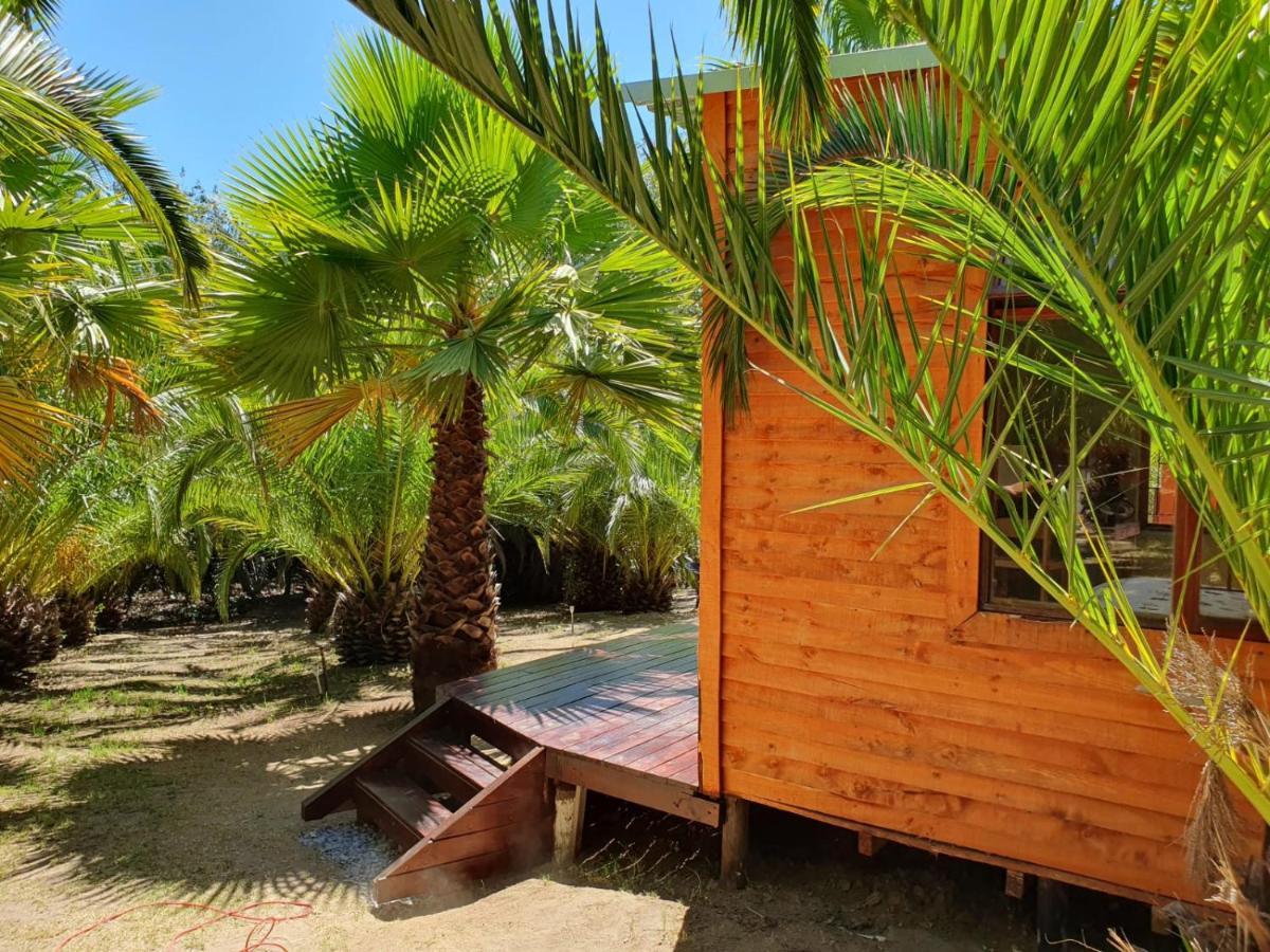The Farmhouse Palm Tree Cabin Стелленбос Екстер'єр фото