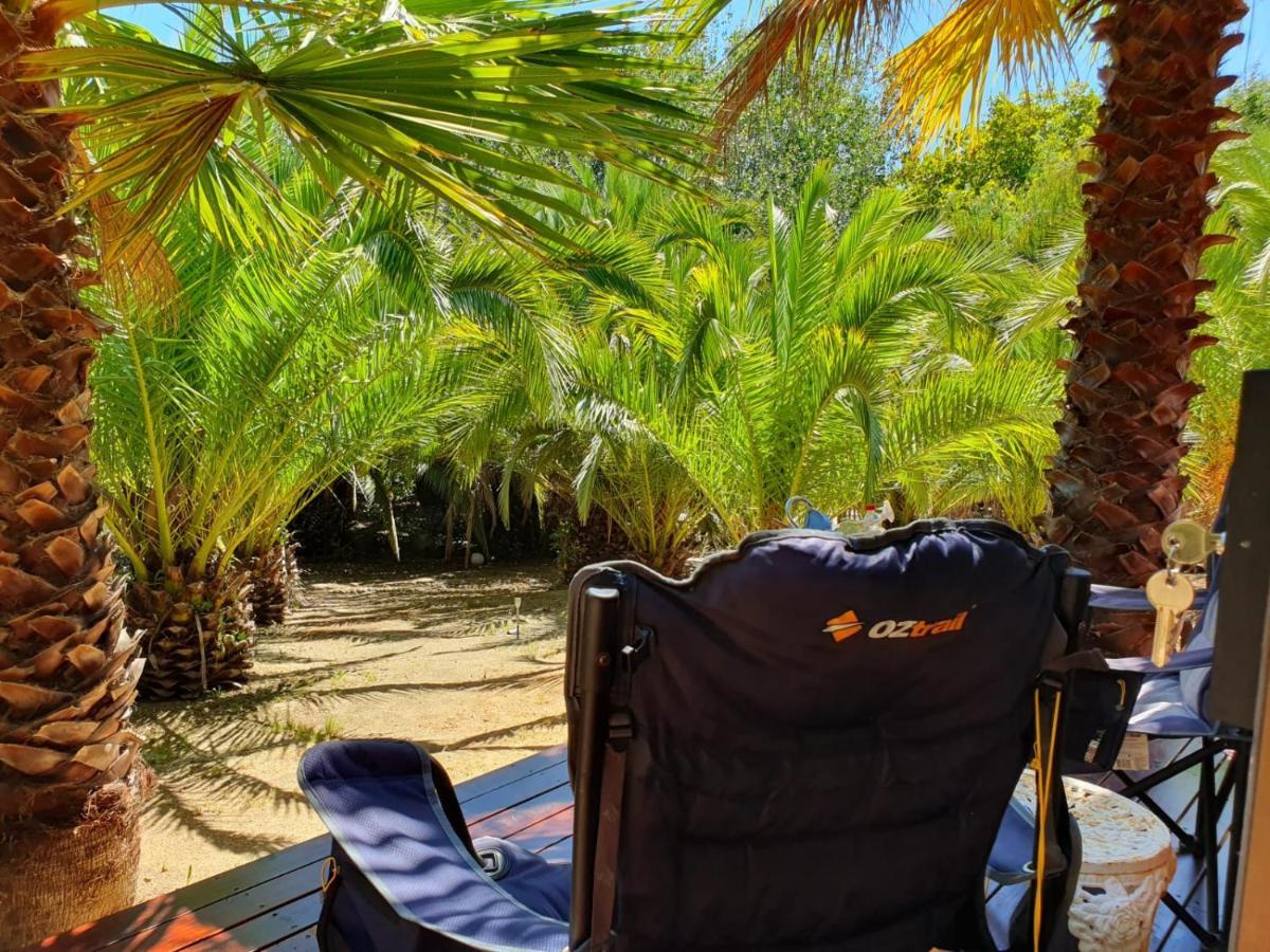 The Farmhouse Palm Tree Cabin Стелленбос Екстер'єр фото