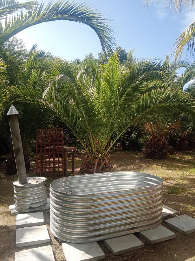 The Farmhouse Palm Tree Cabin Стелленбос Екстер'єр фото