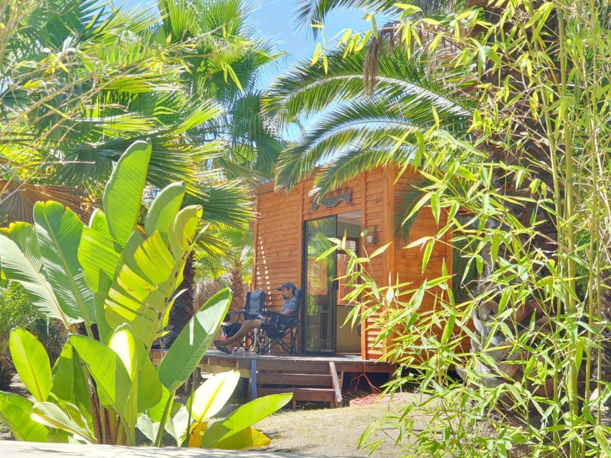 The Farmhouse Palm Tree Cabin Стелленбос Екстер'єр фото