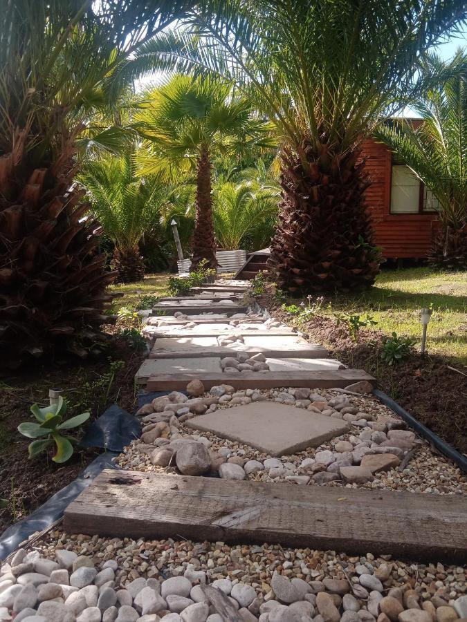 The Farmhouse Palm Tree Cabin Стелленбос Екстер'єр фото