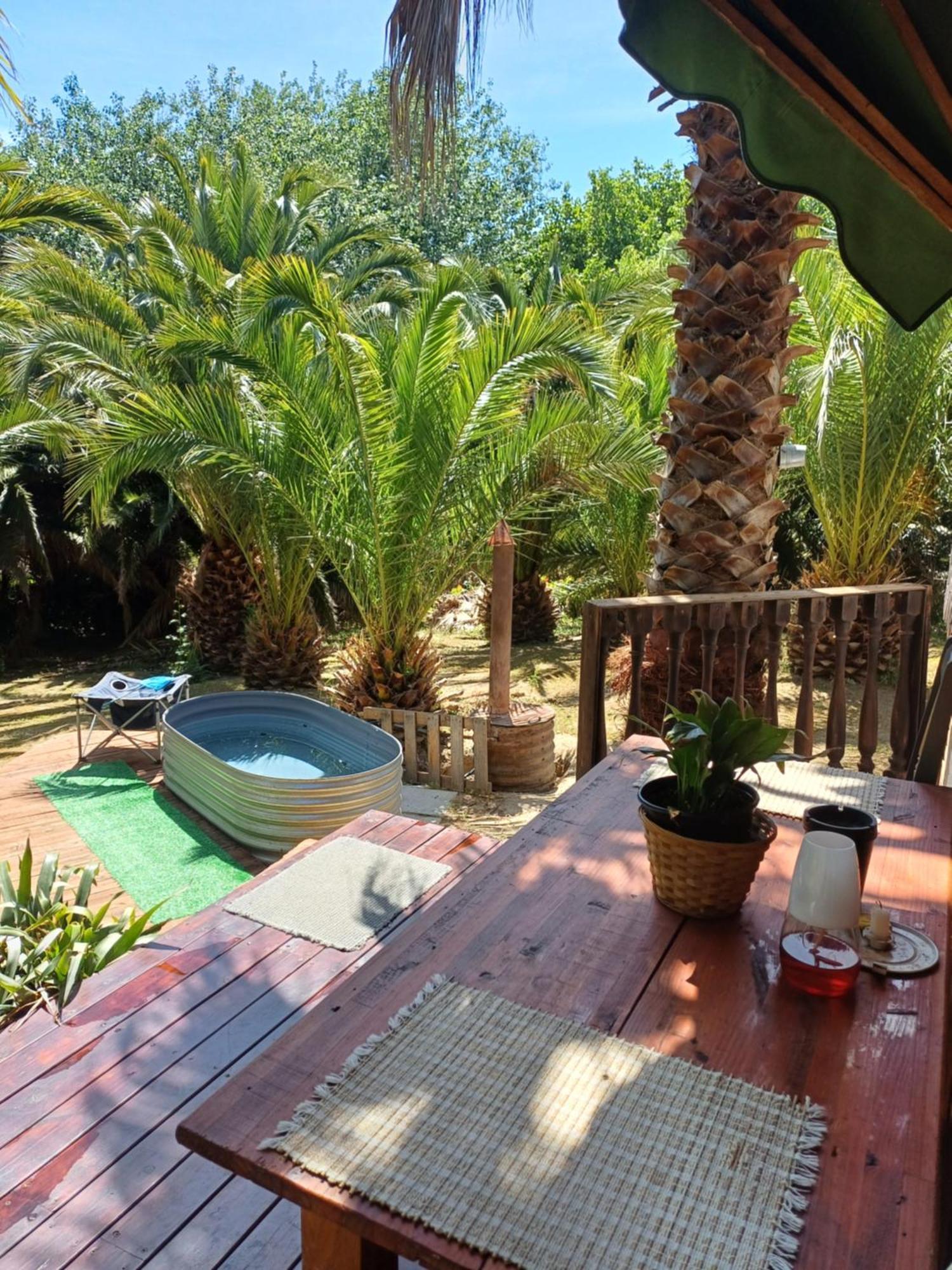 The Farmhouse Palm Tree Cabin Стелленбос Екстер'єр фото